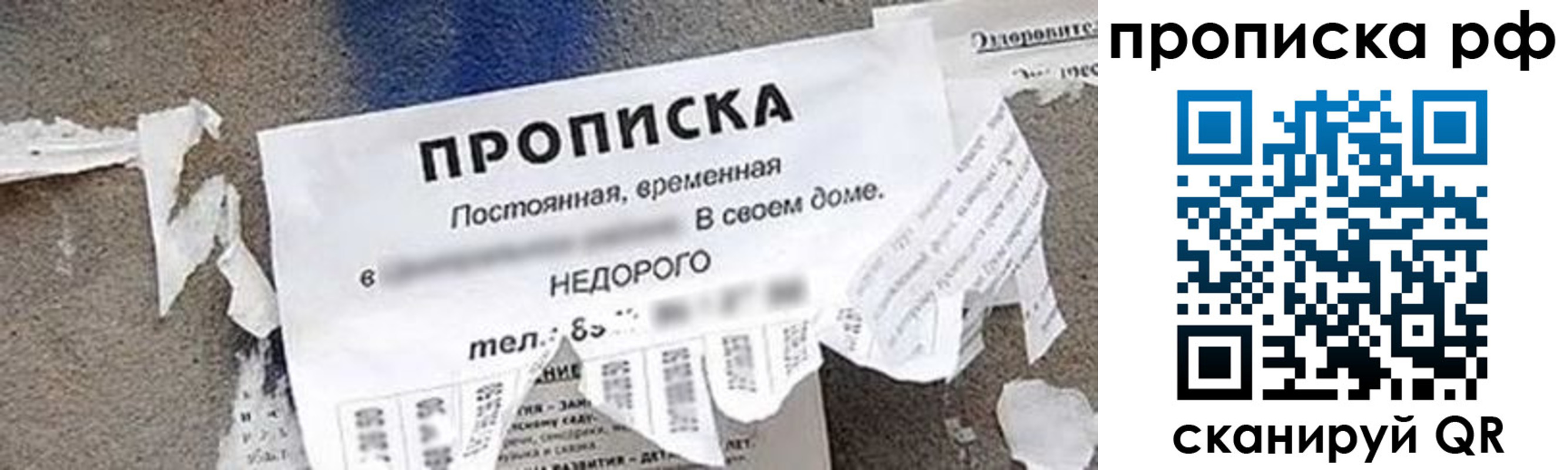 где прописаться в Северной Осетии